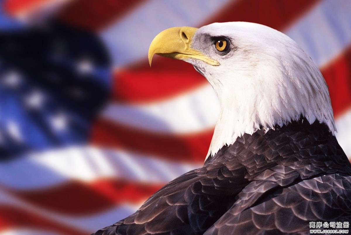 美国公司注册的好处