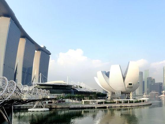 新加坡公众公司注册